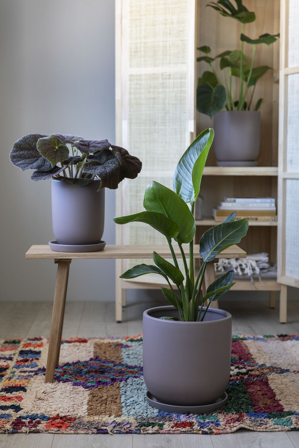 Grønne planter i Cashmere potter Grønne planter i Cashmere potter